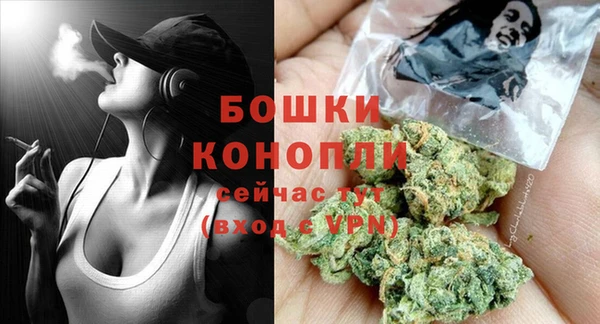 индика Лагань