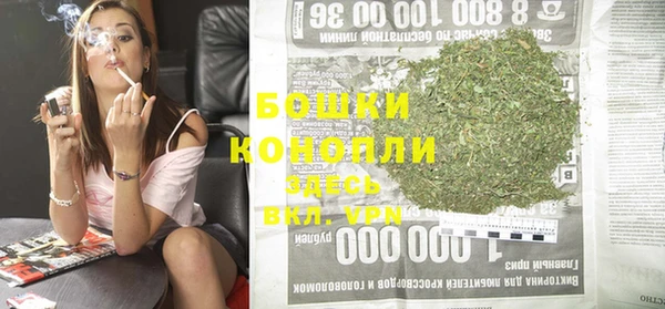 индика Лагань