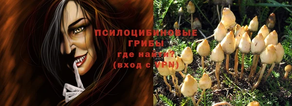 индика Лагань