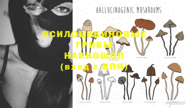 героин Ладушкин